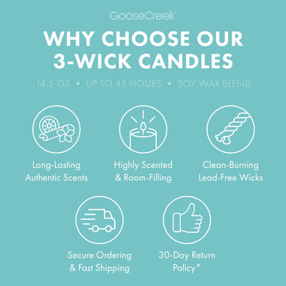 Blueberry Limeade 3-Wick Candle