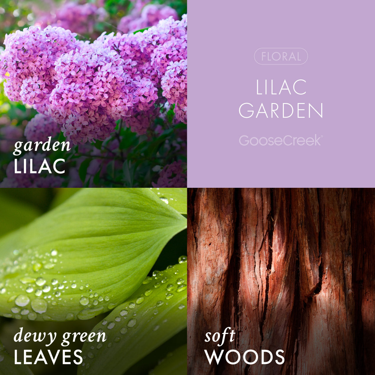 Lilac Garden Lush Foaming Hand Soap