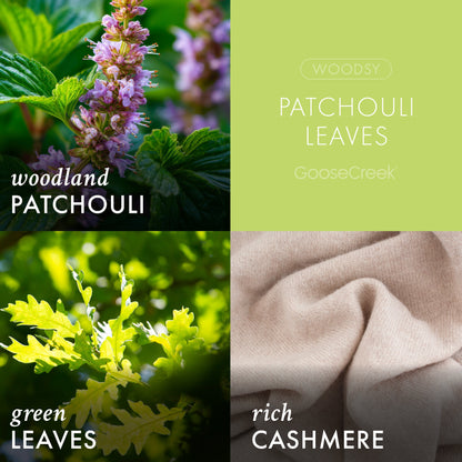 Patchouli Leaves 3-Wick Candle