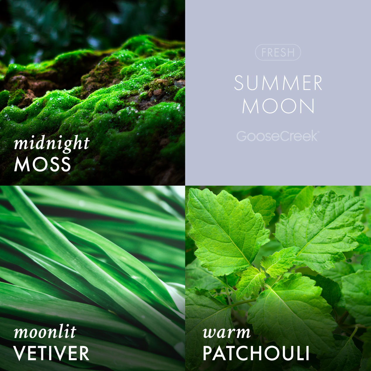 Summer Moon 3-Wick Candle